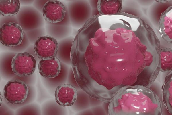 What Are the 3 Stem Cell Types? - Adult stem cells (ASCs)