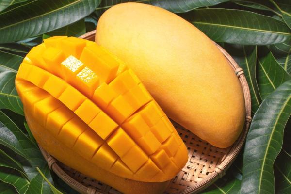 What Is Mango? Properties, Benefits and Contraindications - Benefits of mango