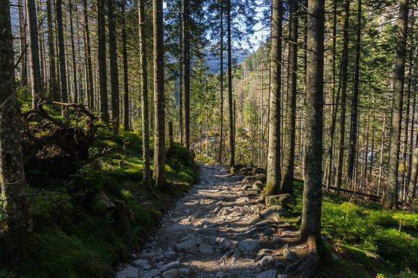 Types of Climate - Definition and Classification - Continental climate