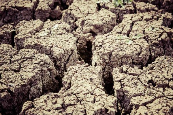 What Causes Desertification? - Difference between desertification and land degradation