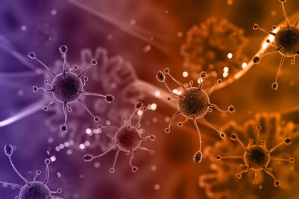 What are the Differences Between Viruses and Bacteria? - Differences between viruses and bacteria