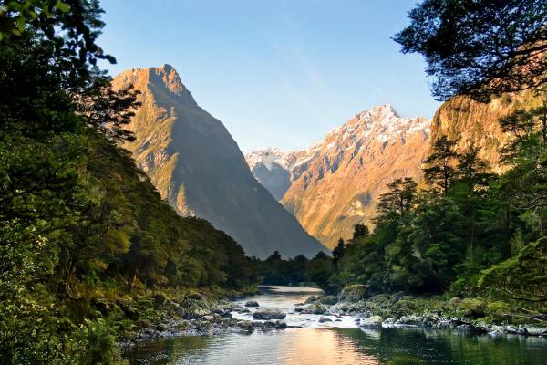 What is a Mountain Climate? - Flora of the mountain climate