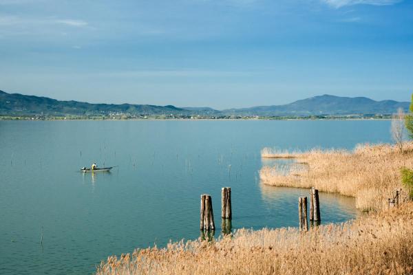 What Is an Endorheic Basin? - How do endorheic basins form?