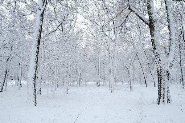 What Is the Siberian High Pressure System? - How is the Siberian high formed?