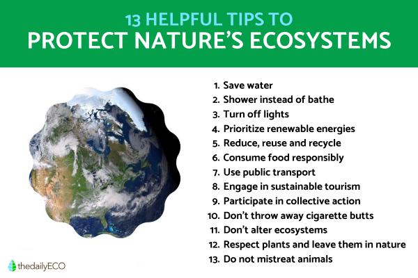 How to Protect Nature's Ecosystems