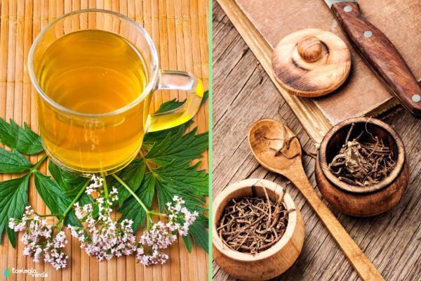 How to Take Valerian Root for Sleep and Anxiety - How to take valerian root