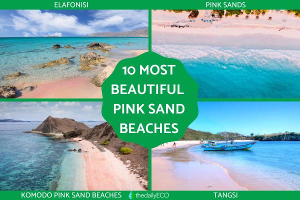 Most Beautiful Pink Sand Beaches in the World