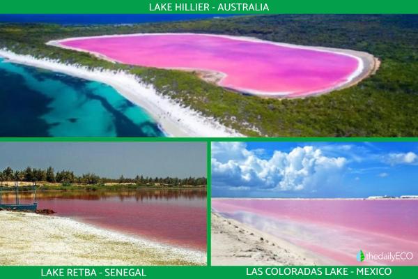 What Are Pink Lakes? - Definition, Location and Ecological Importance - Names and locations of pink lakes