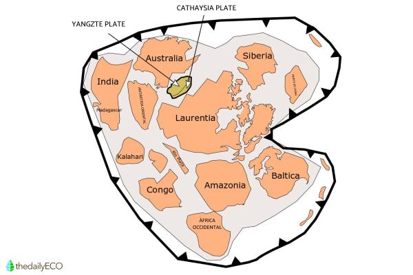 What Is the Rodinia Supercontinent? - Rodinian supercontinent formation