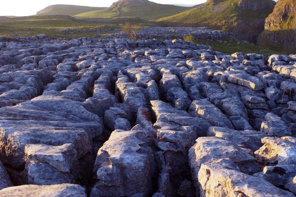 What Is a Limestone Pavement? - Types of limestone pavement