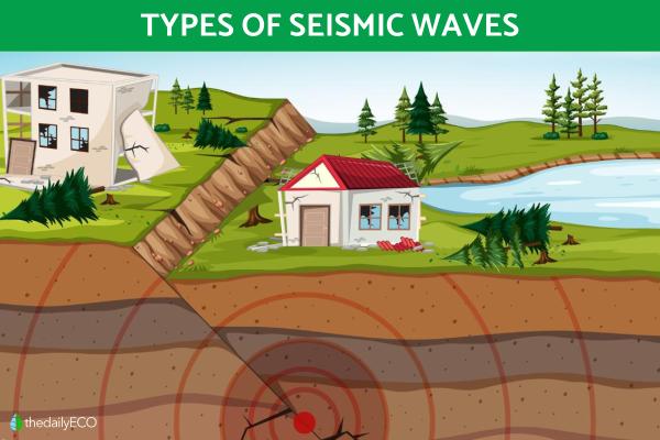Types of Seismic Waves - P, S and Surface Waves