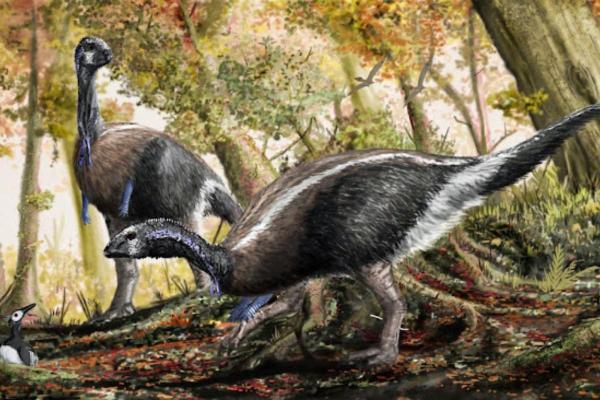 What Dinosaurs Were Found in Spain? - Valdosaurus canaliculatus