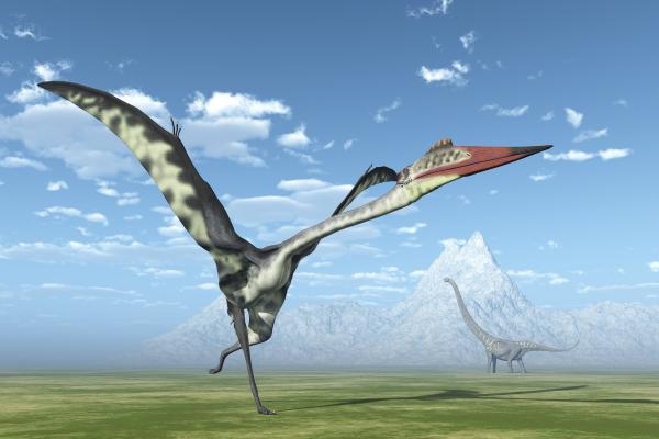 Were There Flying Dinosaurs?