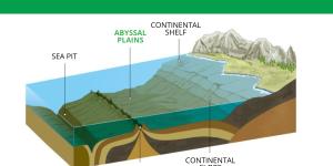 What Are Abyssal Plains?