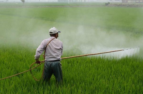 What Are Agrochemicals in Agriculture?