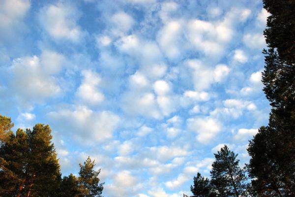 What Are Altocumulus Clouds? - What are altocumulus clouds?
