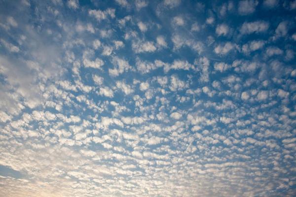 What Are Altocumulus Clouds?
