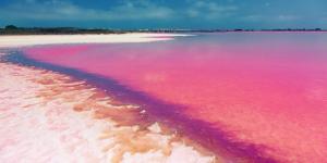 What Are Pink Lakes? - Definition, Location and Ecological Importance