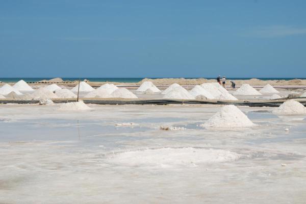 What Are Salt Pans?