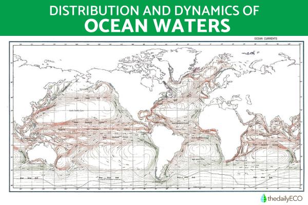 What Are Sea Waters or Ocean Waters?