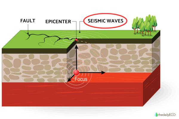 Types of Seismic Waves - P, S and Surface Waves - What are seismic waves?