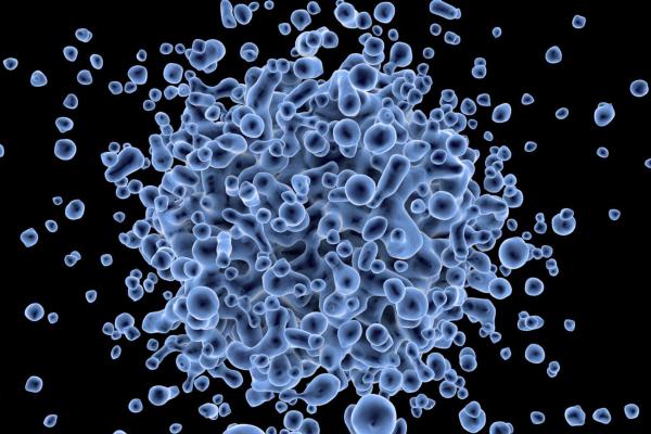 What Are the 3 Stem Cell Types? - What are stem cells?