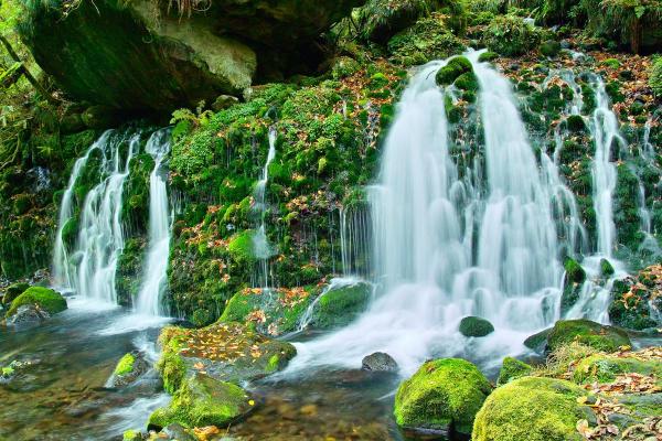 What Are Water Springs? - What are water springs?