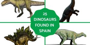 What Dinosaurs Were Found in Spain?