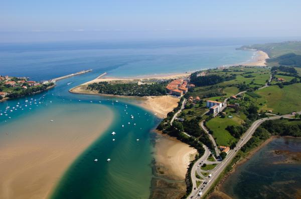What Is a Estuary? - Formation, Importance & Examples