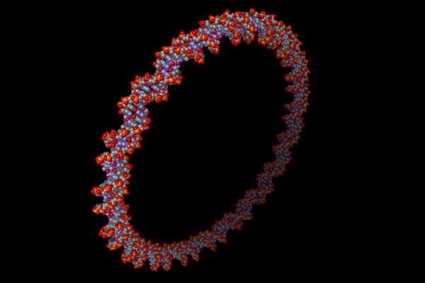 What Are Plasmids and What Do They Do? - What is a plasmid?