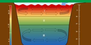 What Is a Thermocline and How Is It Formed?