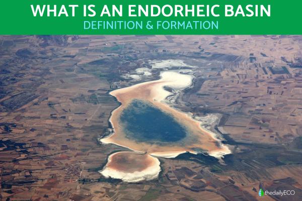 What Is an Endorheic Basin?