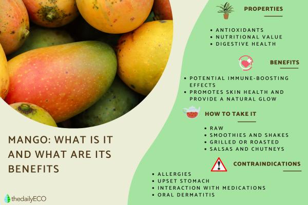 What Is Mango? Properties, Benefits and Contraindications