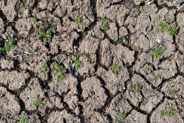 What Is Soil Degradation?