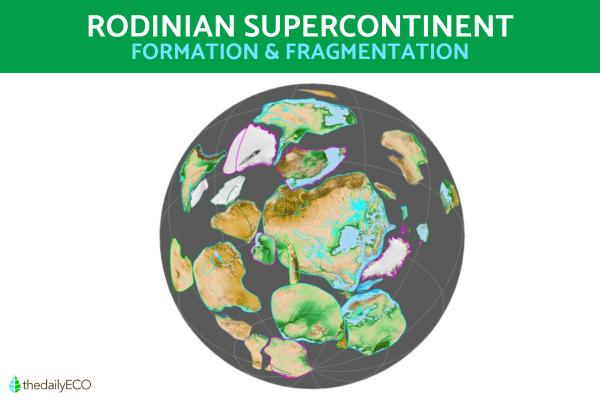 What Is the Rodinia Supercontinent?