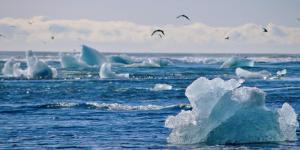 Why Does Ice Float on Water?