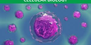 Why the Study of Cells Is So Important